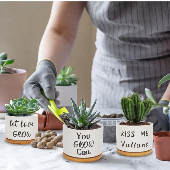 Funny Succulent Plant Pot, 3.15 Inch Cute Ceramic Planter Set | Unique Gifts - Picture 2 of 8